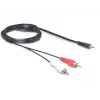 Audiokabel DeLOCK 84000 1,5 m 2xRCA 3,5 mm Schwarz