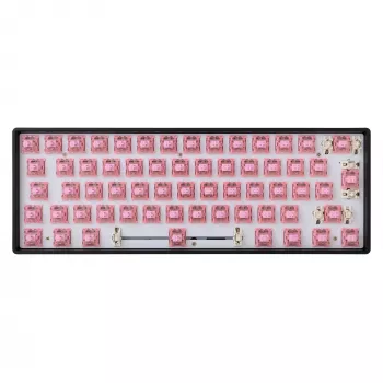 White Shark Roserift mechanische Tastaturschalter, 65 Stück