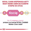 ROYAL CANIN Maine Coon Kitten- Trockenfutter für Katzen - 4 kg