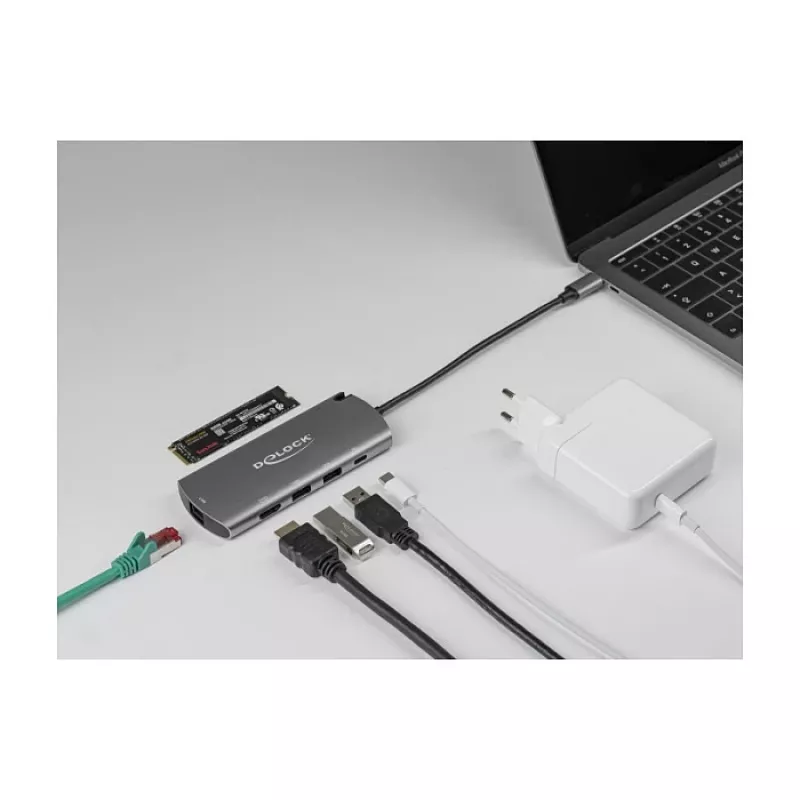 Dockingstation DeLOCK USB Type-C Dockingstation mit M.2-Steckplatz