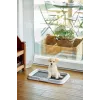 ZOLUX Hunde-/Katzentoilette Offene Katzentoilette Schwarz, Grau