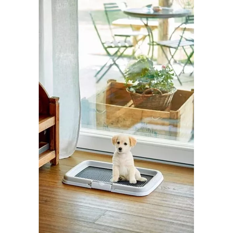 ZOLUX Hunde-/Katzentoilette Offene Katzentoilette Schwarz, Grau