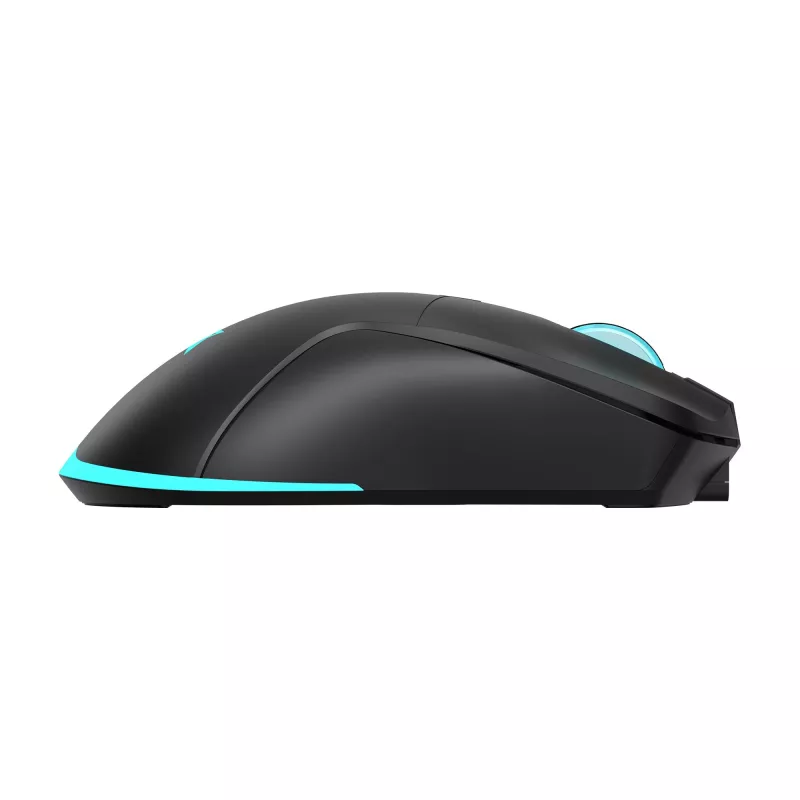 Maus Baracuda BGM-121 Turtle Schwarz USB