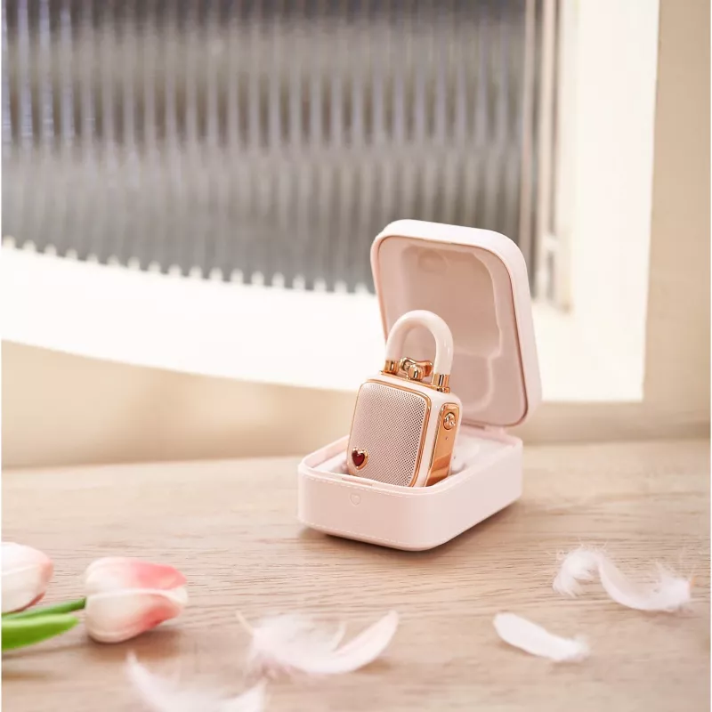 Tragbarer Mono-Lautsprecher Divoom LoveLock Pink