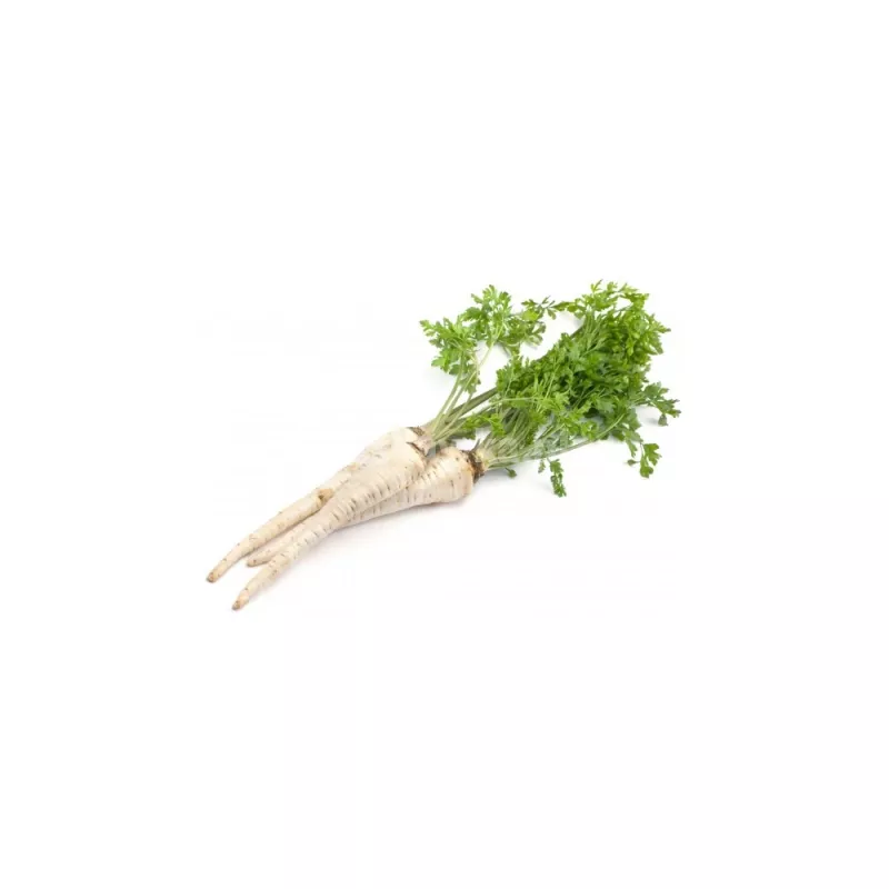 Samen – Pastinake (Pietruszka Korzeniowa Alba) 3 g Packung von Seklos LT