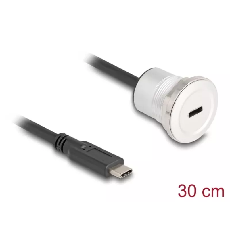 USB-Kabel DeLOCK 88183 0,3 m USB-C Schwarz Silber