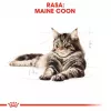 ROYAL CANIN FBN Maine Coon - Katzen-Nassfutter - Sachet 12x 85g
