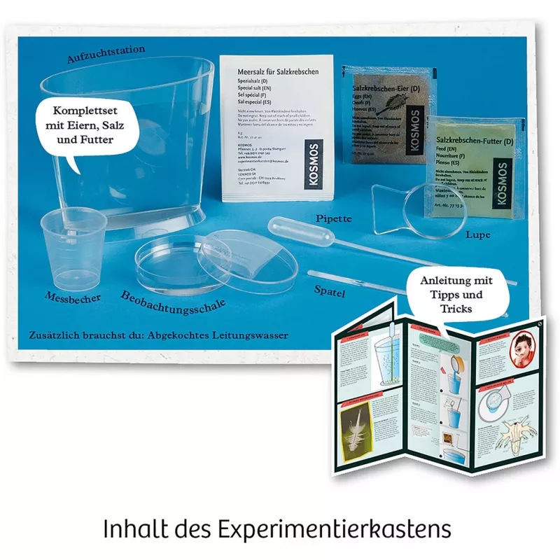 Kosmos 65787, Augmented Reality, 8 Jahr(e), Mehrfarbig Kosmos 65787. Typ: Augmented Reality, Empfohlenes Alter (mind.): 8 Jahr(e), Produktfarbe: Mehrfarbig