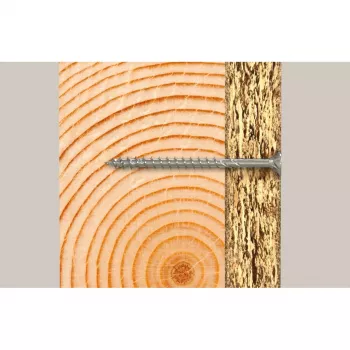 Fischer 670413