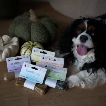 Kauknochen PAKA ZWIERZAKA Pepe Vet funktionaler Knochen für gesunde Gelenke 70 g, Rind, getreidefrei