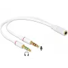 Audiokabel DeLOCK 65585 0,2 m 2 x 3,5 mm Stecker auf 3,5 mm Buchse Weiß
