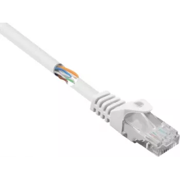 Renkforce RF-5043828 Ethernet Patchkabel Weiß