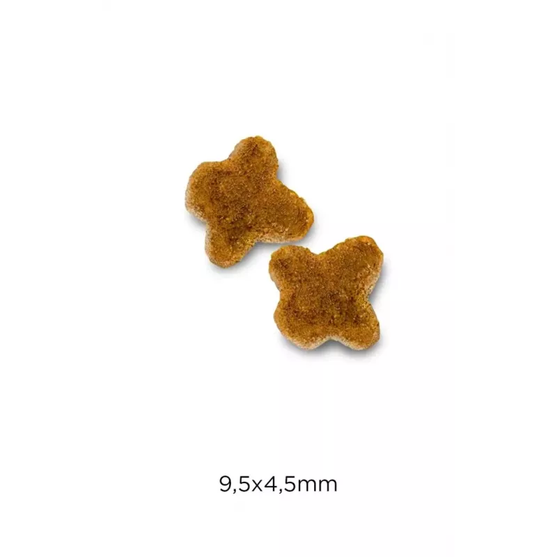 OPTIMANOVA Cat Kitten Huhn & Reis - Trockenfutter für Katzen - 2 kg