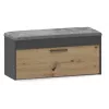 Geschlossener Schuhschrank Top e Shop PARMA — Anthrazit und Eiche, Spanplatte, 1000×490×350 mm