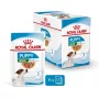 ROYAL CANIN SHN Mini Puppy in Sauce - Nassfutter für Welpen - 12X85g