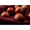 Wolska Onion Toraf Gemüsesamen, 5g Packung