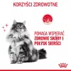 ROYAL CANIN Hair&Skin Care Adult - Trockenfutter für Katzen - 400g