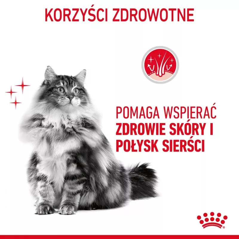ROYAL CANIN Hair&Skin Care Adult - Trockenfutter für Katzen - 400g