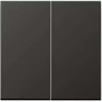 Jung AL 2995 AN Elektroschalter Anthrazit (AL2995AN)