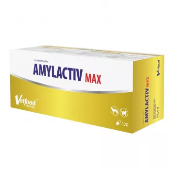 Nahrungsergänzungsmittel Vetfood Amylactiv MAX – Tabletten zur Unterstützung der Verdauung für Hunde und Katzen, 120 Kapseln, 100 g, soja‑ und glutenfrei