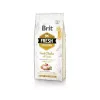Brit Fresh Adult Trockenfutter für ausgewachsene Hunde 12 kg, Huhn, Apfel, Buchweizen, Kartoffel