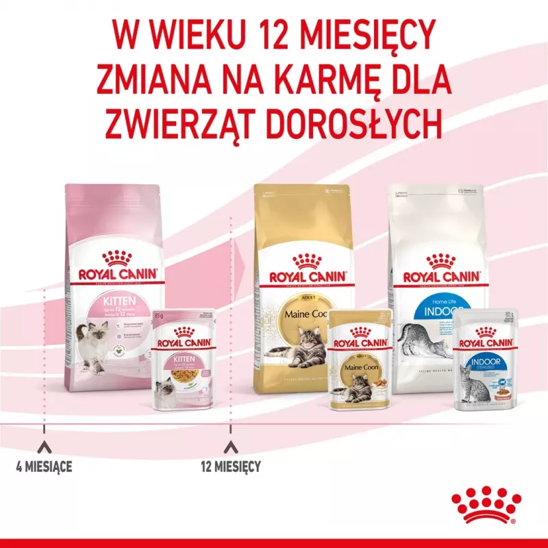 Nassfutter für Kätzchen Royal Canin Kitten Jelly 85 g — Hühnchengeschmack, 85-g-Beutel, 12 Stück