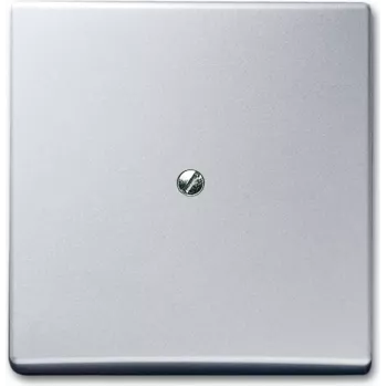 Busch Jaeger 2138-33 Aluminium (1710-0-3800)