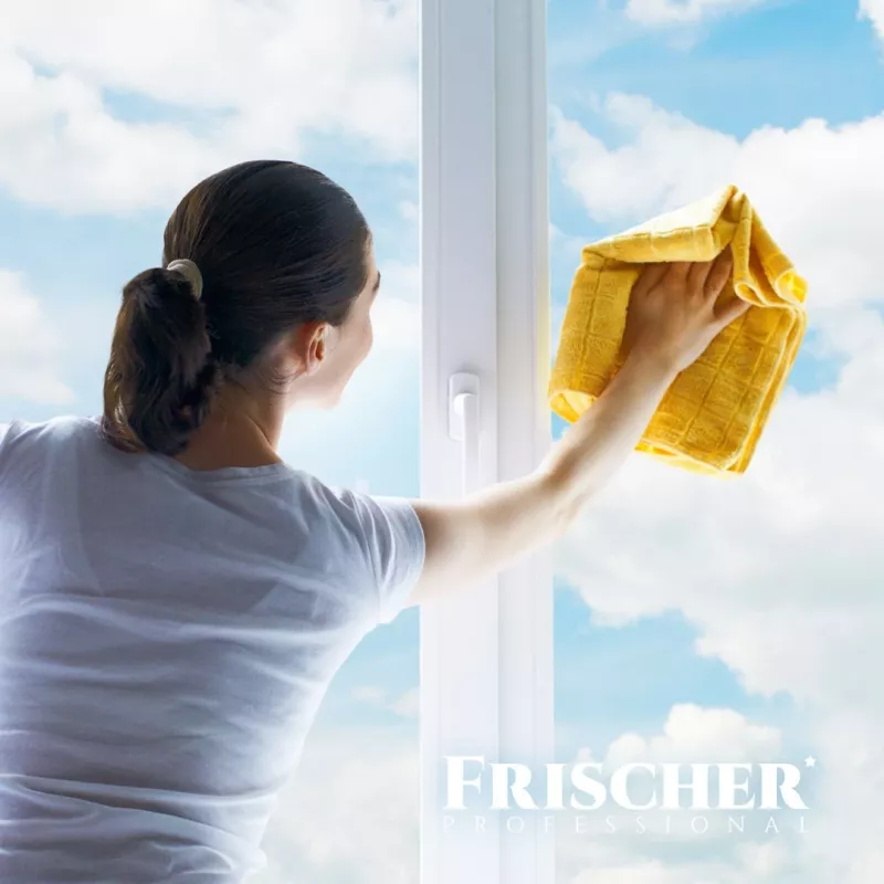 Glasreiniger FRISCHER FR00233_500 0,5 l mit Antibeschlagfunktion