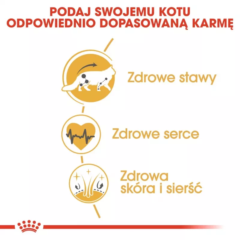 Trockenfutter für Katzen Royal Canin Maine Coon Adult 10 kg — Geflügel (Huhn), 31 % Protein, 20 % Fett