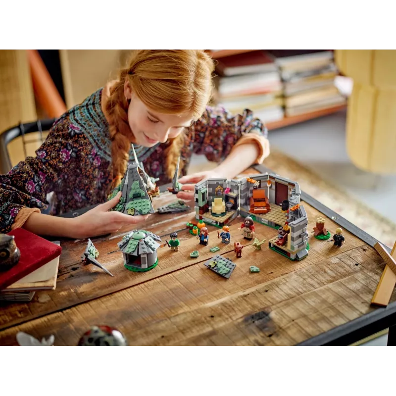 LEGO HARRY POTTER 76428 Hagrids Hütte – Ein unerwarteter Besuch