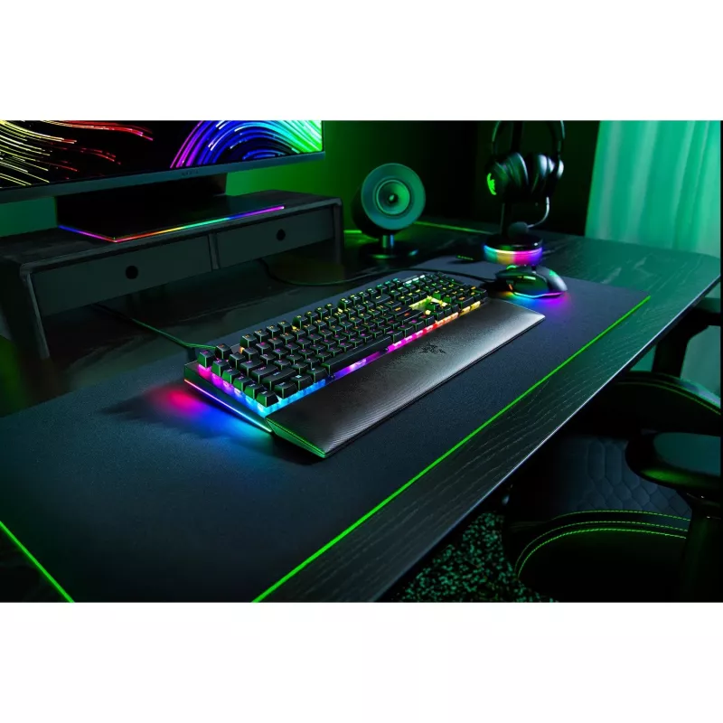 Razer SchwarzWidow V4 Tastatur – USB-C, QWERTZ