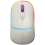 CANYON Maus MW-22 2-in-1 BT/Wireless Rice