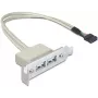 Slotblech USB 2.0 DeLOCK 0,5 m
