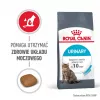 Royal Canin Urinary Care Trockenfutter für Katzen 4 kg