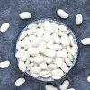 Saatgutpackung Seklos LT PNOS — Trockenbohnen 'Igłomska' Samen, 50 g