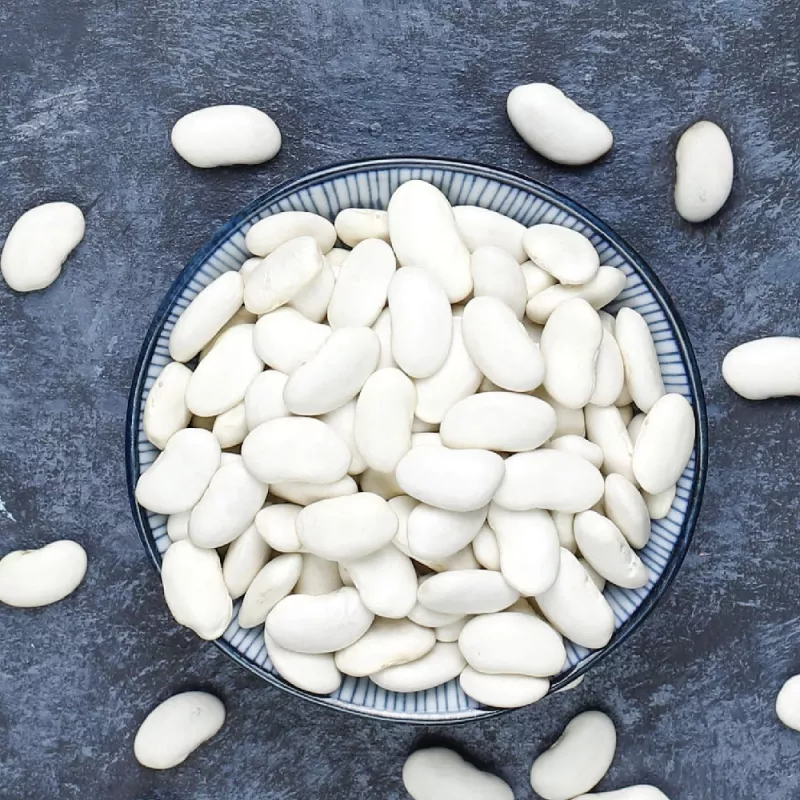 Saatgutpackung Seklos LT PNOS — Trockenbohnen 'Igłomska' Samen, 50 g