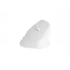 NATEC Crake 2 Maus, universell, für Rechtshänder, RF Wireless + Bluetooth, optisch, 2400 DPI