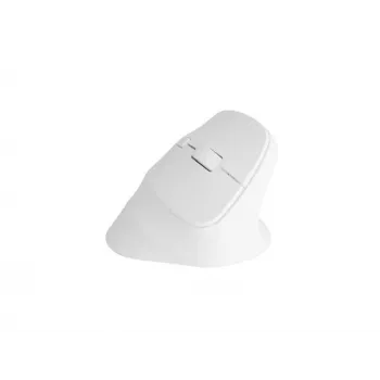 NATEC Crake 2 Maus, universell, für Rechtshänder, RF Wireless + Bluetooth, optisch, 2400 DPI