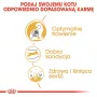 Royal Canin Bengal Adult Trockenfutter für Katzen 2 kg — Geflügel, 40 % Protein, 18 % Fett, Verdauungs- & Hautpflege