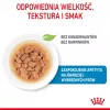 ROYAL CANIN SHN Mini Puppy in Sauce - Nassfutter für Welpen - 12X85g