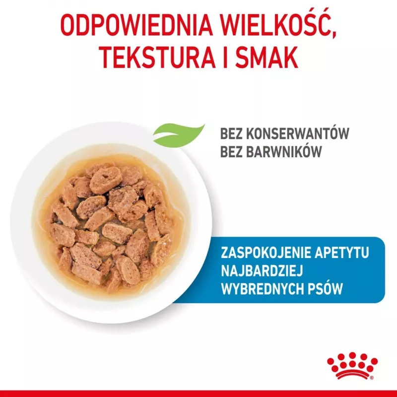 ROYAL CANIN SHN Mini Puppy in Sauce - Nassfutter für Welpen - 12X85g