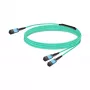 Netzwerkkabel Nvidia MFP7E20-N010 InfiniBand 10 m MPO 2x MPO Blau