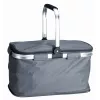 Thermokühltasche PROMIS TL24S 24 L, grau