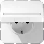Unterputzdose JUNG CD 1520 BFNAKL WW Schuko Typ F 16A 250V Weiß