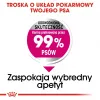 Trockenfutter für Hunde Royal Canin Mini Exigent 1 kg — kleine Rasse Senior, 30 % Protein, 22 % Fett