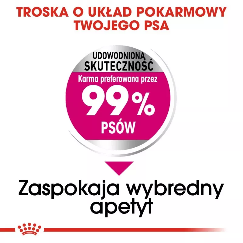 Trockenfutter für Hunde Royal Canin Mini Exigent 1 kg — kleine Rasse Senior, 30 % Protein, 22 % Fett