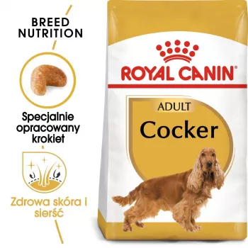 Trockenfutter für Hunde Royal Canin Cocker Adult 12 kg — Geflügel, 25 % Protein, 14 % Fett