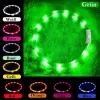 LED-Halsband Anicoll Grün für Hunde und Katzen Modell wiederaufladbare Beleuchtung