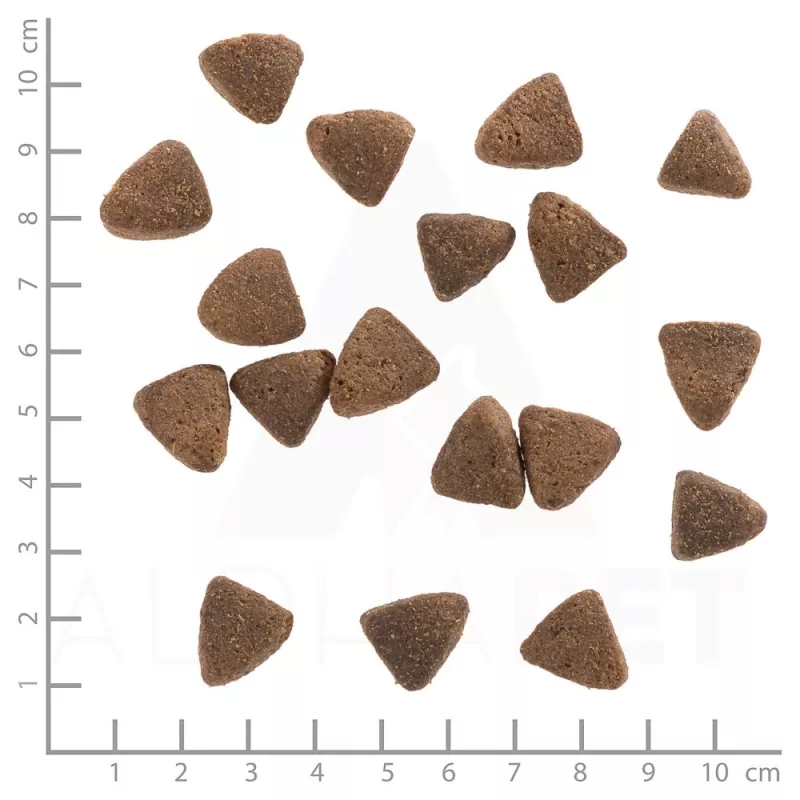 WOLFSBLUT Wide Plain Light Horse mit Süßkartoffeln - Hundefutter - 2 kg