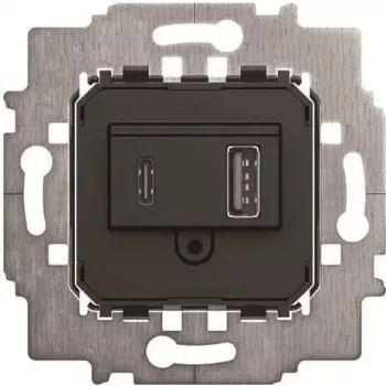 BJ 6475 U Netzteil - Insert USB A+C (2CKA006400A0398)